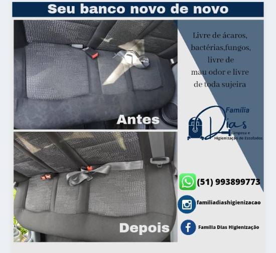 Limpeza interna automotiva